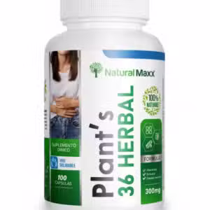 36 plantas nueva presentacion