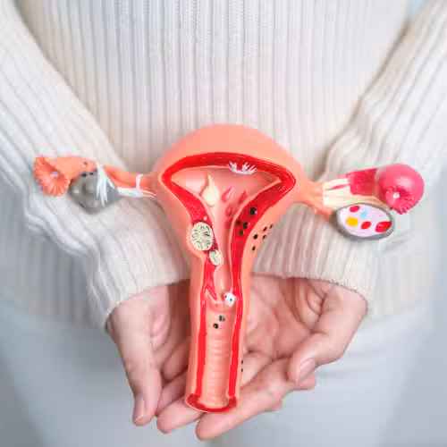 Sin titulo 500 x 500 px 3 1